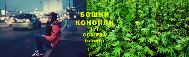 закладка  Гатчина  Марихуана THC 21% 